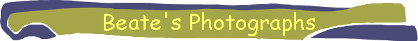 Beate's Photographs