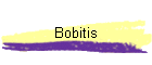 Bobitis