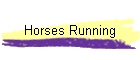 Horses Running