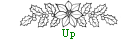Up