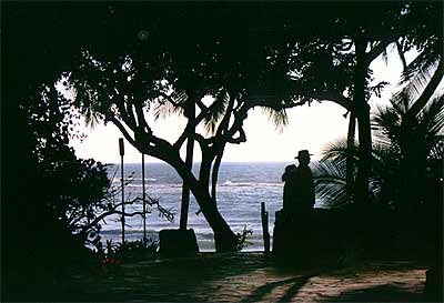 View of the Ocean