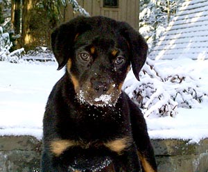 Sonia's first snow