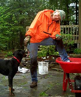 Beate, Sonia, and her Wheelbarrow