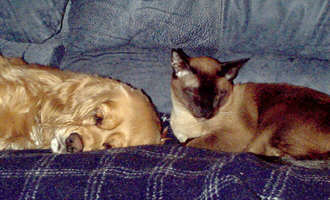 blanket1.jpg (14977 bytes)