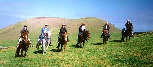 Bonanza