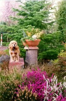 Dana as a Garden Sculpture