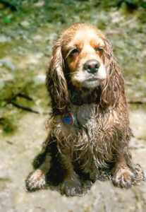 Dana very wet