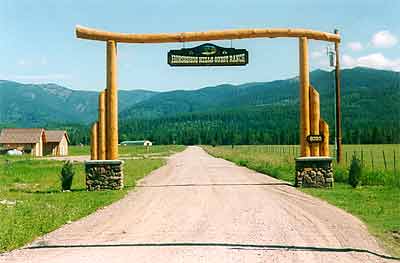 The Gate