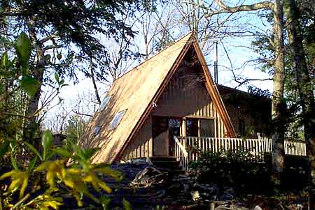 Li'l House in summer