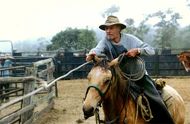 The oldest cowboy