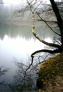 Harriman State Park