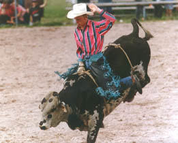 at the Rodeo