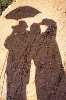 Shadows