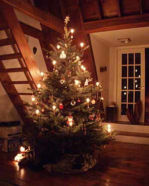 Our Tree