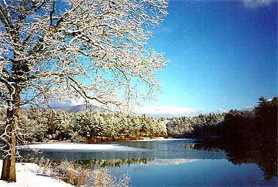 The View in Winter