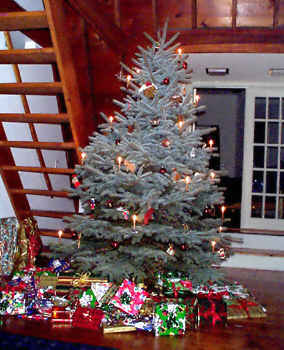 Our Christmas Tree