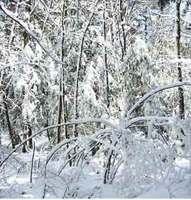 Image63.jpg